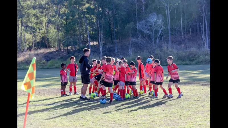 holland park hawks va logan lightning google 2659