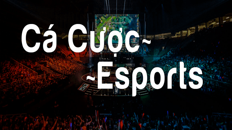 Cá cược Esport là gì? Hướng dẫn cách cá cược Esport? 4 Cá cược Esports là gì?