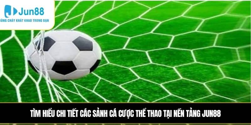 Tìm hiểu chi tiết các sảnh cá cược thể thao tại nền tảng JUN88